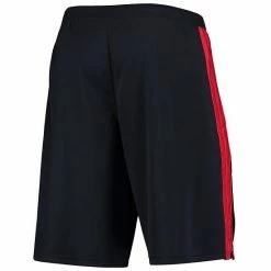 Men's Champion Navy Arizona Wildcats Side Stripe Shorts -Champion shop unnamed file 10240