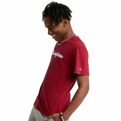 Men's Champion® Vintage Wash Graphic Tee Solar Wash Blue Jay -Champion shop unnamed file 2095