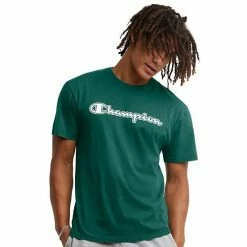 Men's Champion® Vintage Wash Graphic Tee Solar Wash Blue Jay -Champion shop unnamed file 2099