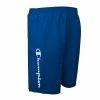 Big & Tall Champion Seabreeze Swim Trunks Green -Champion shop unnamed file 3079