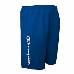 Big & Tall Champion Seabreeze Swim Trunks Green -Champion shop unnamed file 3081
