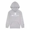 Girls 7-16 Champion® Drop Shadow Script Hoodie Ice Fall -Champion shop unnamed file 3117