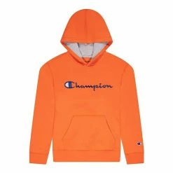 Kids 7-20 Champion® Script Fleece Hoodie Gray -Champion shop unnamed file 32