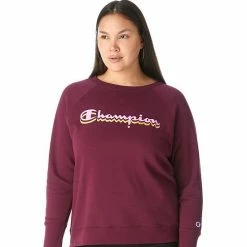 Plus Size Champion® Powerblend Fleece Graphic Crewneck Sweatshirt Pink Beige -Champion shop unnamed file 3342