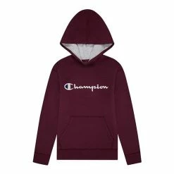 Kids 7-20 Champion® Script Fleece Hoodie Gray -Champion shop unnamed file 35