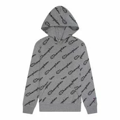 Boys 4-7 Champion Script Fleece Pullover Hoodie Black -Champion shop unnamed file 3657