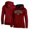 Women's Champion Garnet South Carolina Gamecocks Arch Logo 2.0 Pullover Hoodie