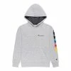 Boys 8-20 Champion® C Rings Fleece Hoodie Gray -Champion shop unnamed file 561