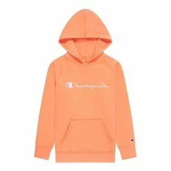 Girls 7-16 Champion® Raglan Hoodie Blue Mist -Champion shop unnamed file 585