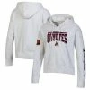 Women's Champion Heathered Gray Arizona Coyotes Reverse Weave Pullover Hoodie -Champion shop unnamed file 6160