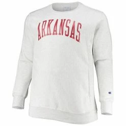 Men's Champion Ash Arkansas Razorbacks Big & Tall Reverse Weave Fleece Crewneck Pullover Sweatshirt 4 Men's Champion Ash Arkansas Razorbacks Big & Tall Reverse Weave Fleece Crewneck Pullover Sweatshirt -Champion shop unnamed file 6417