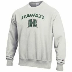Men's Champion® Gray Hawaii Warriors Arch Over Logo Reverse Weave Pullover Sweatshirt -Champion shop unnamed file 6578