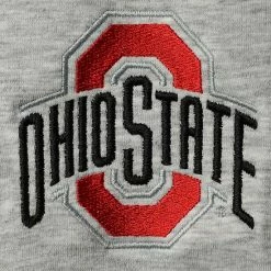 Men's Champion Heathered Gray Ohio State Buckeyes Field Day Team Quarter-Zip Jacket -Champion shop unnamed file 6737