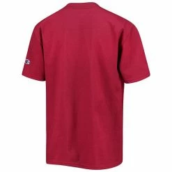 Youth Champion Garnet Florida State Seminoles Basketball T-Shirt -Champion shop unnamed file 6755