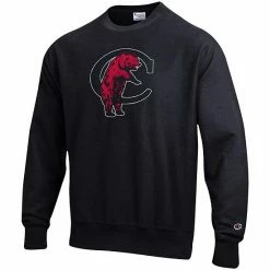 Men's Champion Black Cincinnati Bearcats Vault Logo Reverse Weave Pullover Sweatshirt -Champion shop unnamed file 7833