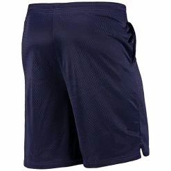 Men's Champion Purple LSU Tigers Classic Shorts -Champion shop unnamed file 8045