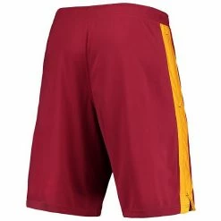 Men's Champion Cardinal Iowa State Cyclones Side Stripe Shorts -Champion shop unnamed file 8189