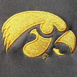 Men's Champion Black Iowa Hawkeyes Gameday Quarter-Zip Jacket -Champion shop unnamed file 8222