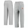 Men's Champion Heathered Gray Iowa State Cyclones Powerblend Pants