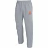Men's Champion Heathered Gray Clemson Tigers Powerblend Pants