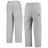 Men's Champion Heathered Gray Texas A&M Aggies Powerblend Pants